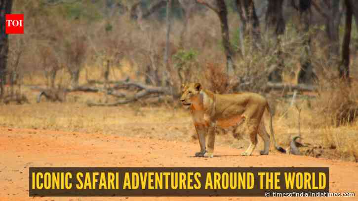 From Tigers to Jaguars: 10 iconic safari adventures around the world