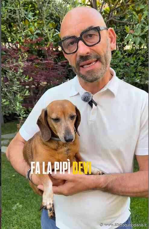 La pipì del cane lavata con l’acqua? Bassetti smonta le ordinanze dei Comuni: “Non serve assolutamente a nulla”