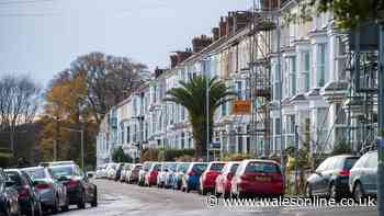 Baby found dead at Swansea home had been neglected, inquest finds
