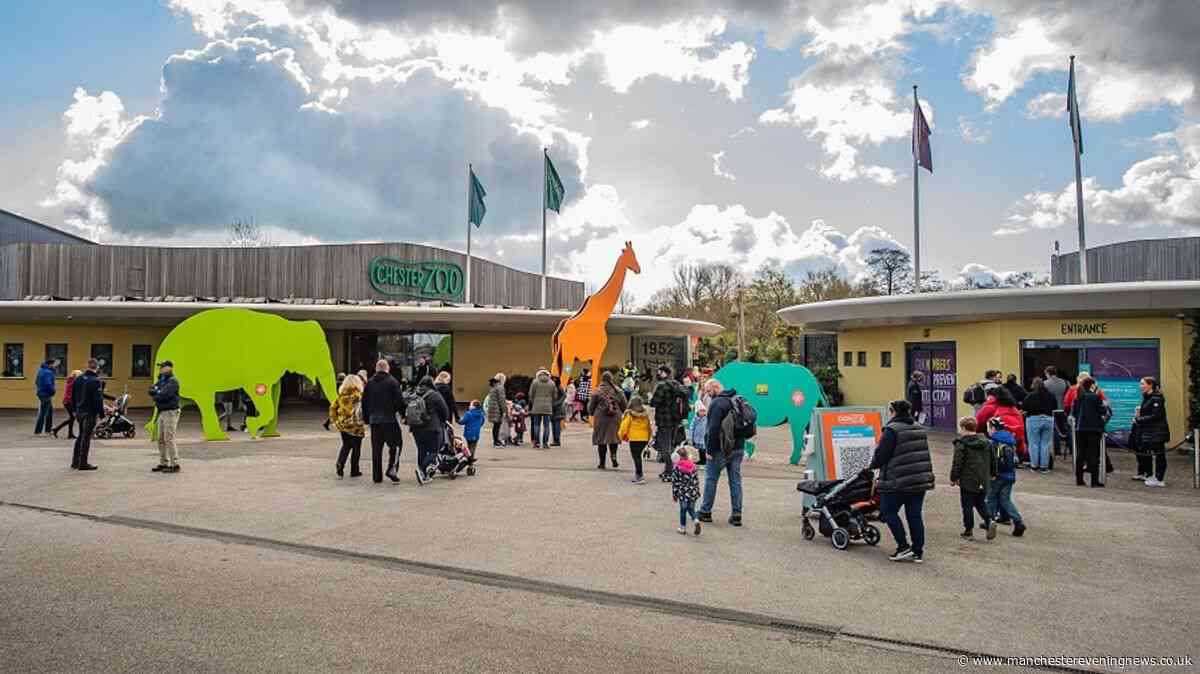 Chester Zoo launches £10 tickets for visitors this summer