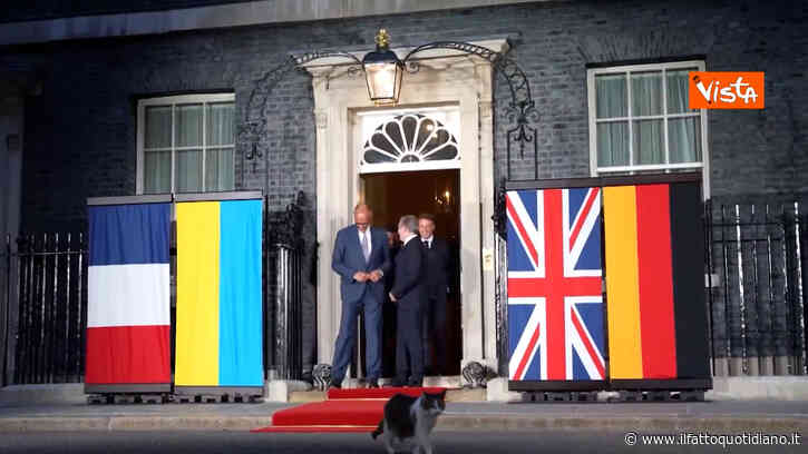 Larry The Cat ruba la scena al vertice tra Zelensky, Merz, Starmer e Macron ed esce per primo da Downing Street – Video