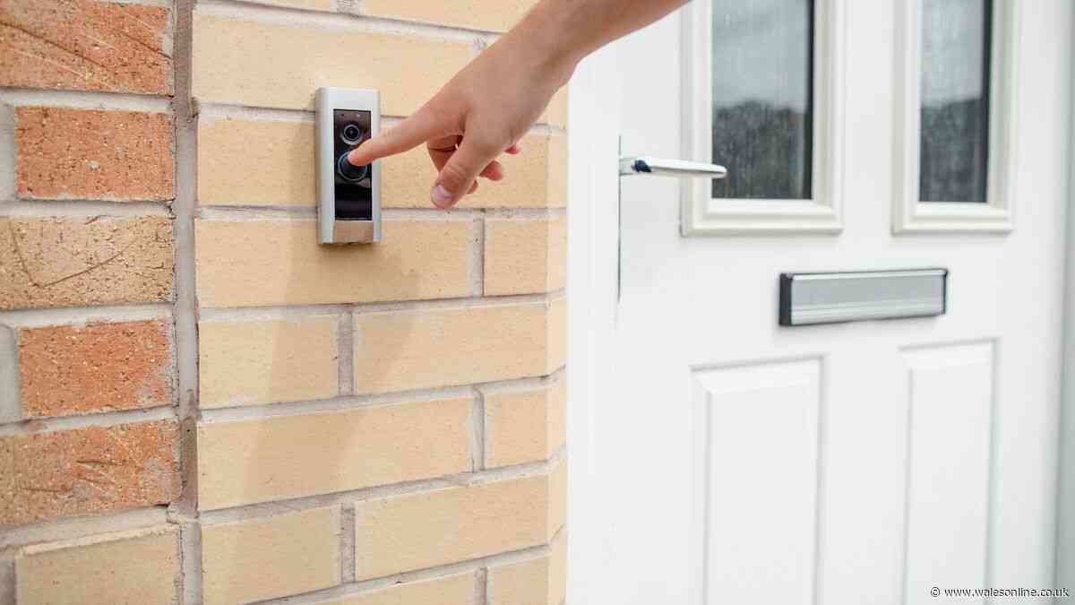 'I'm a dog trainer and this is how to stop your pet barking at the door'