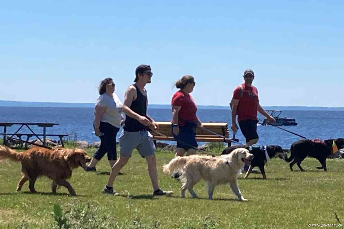 New service dog team shares impact of Lions Foundation dog guides in North Bay