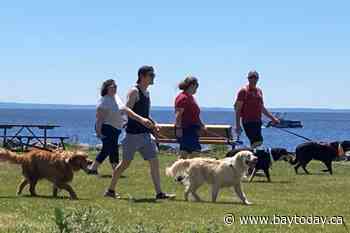 New service dog team shares impact of Lions Foundation dog guides in North Bay