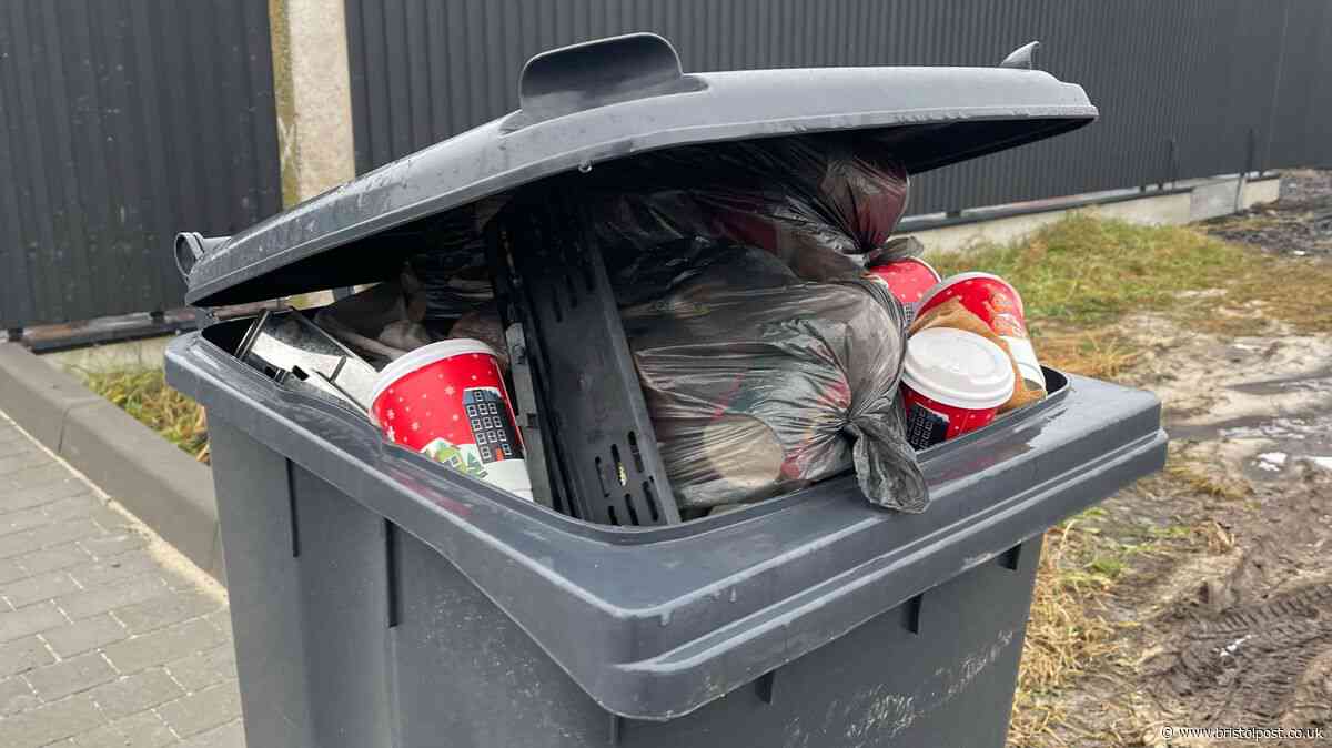 'Neighbour kept dumping his rubbish in my wheelie bin so I got best petty revenge'