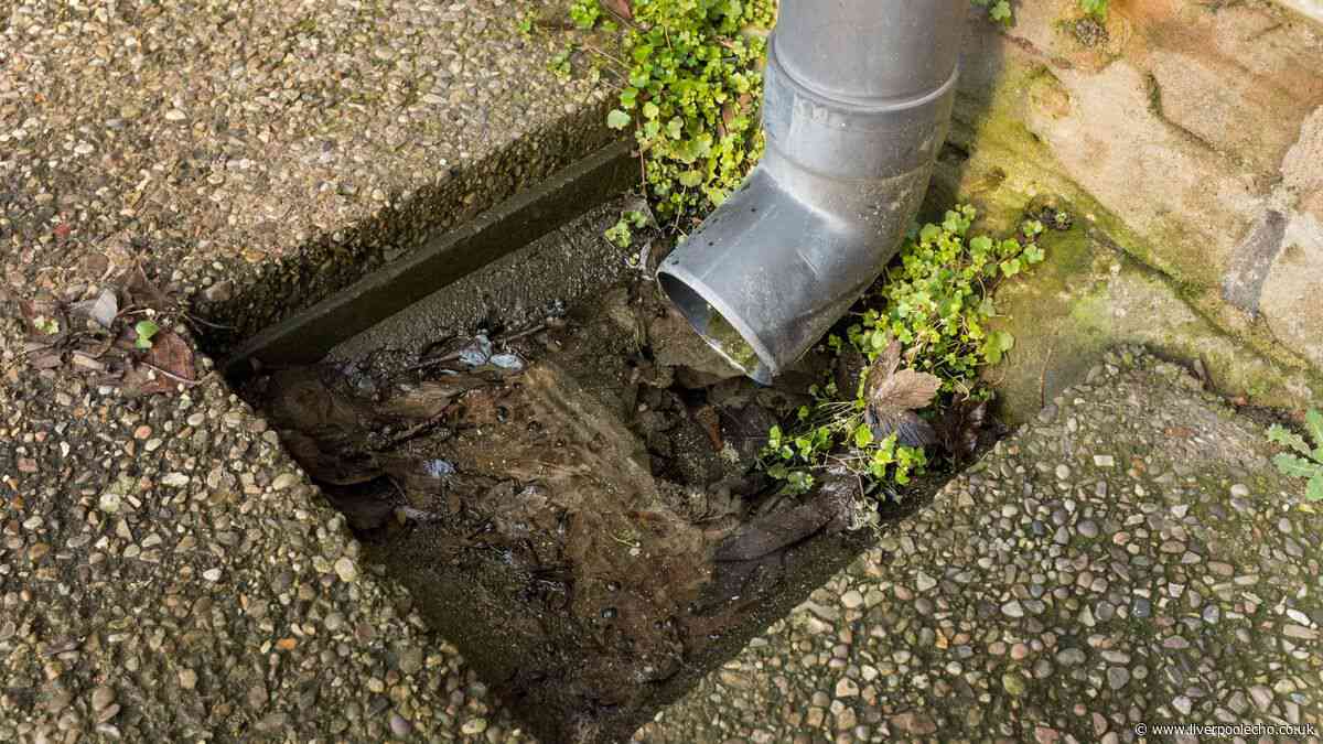 Households urged to pour washing up liquid down the drain as rain to continue