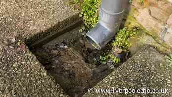 Households urged to pour washing up liquid down the drain as rain to continue