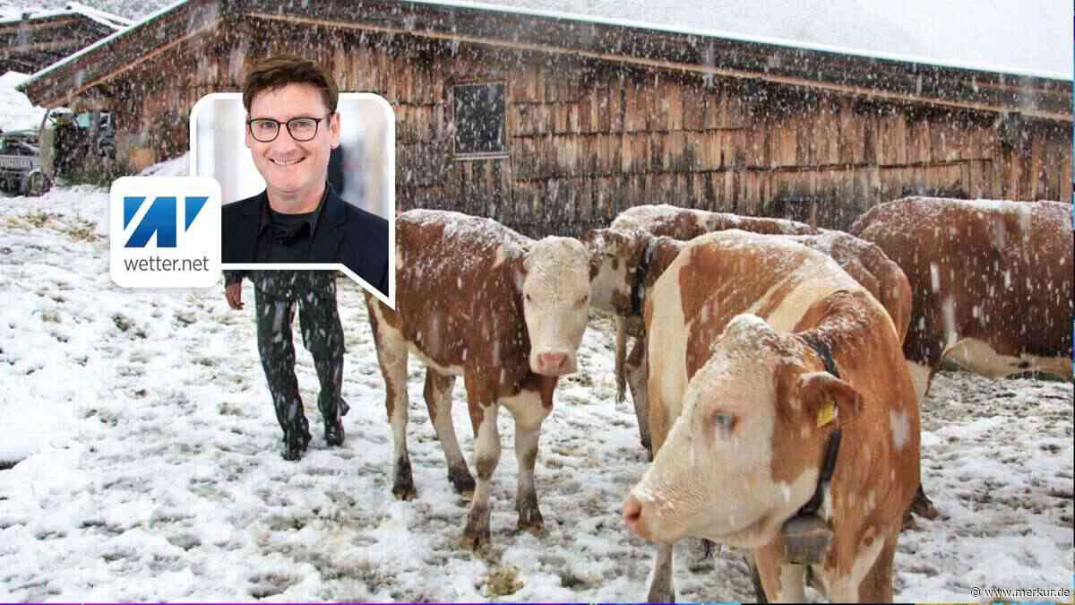Schafskälte in Österreich und Italien: Wetter dreht sich komplett – jetzt gibt es sogar Schnee