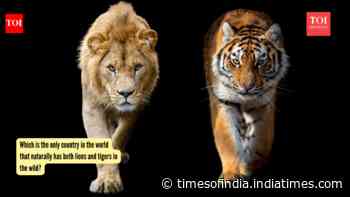Which is the only country in the world that naturally has both lions and tigers in the wild?