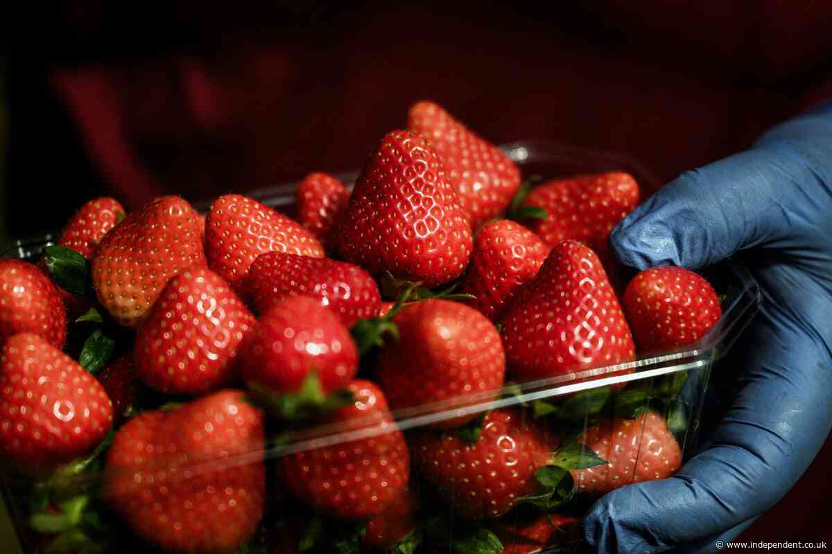 You might be eating five portions of fruit and veg a day – but it still might not be enough