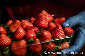 You might be eating five portions of fruit and veg a day – but it still might not be enough