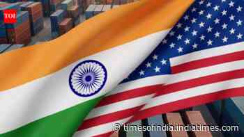 No future tariffs, fair rates, end 'forced labour' probe: What India wants from US trade deal