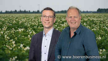 Van gevecht om aardappel tot gevecht om het frietje