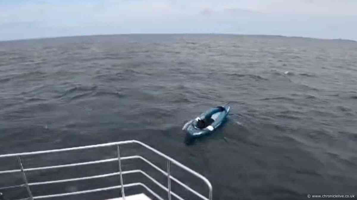Dog rescued after inflatable kayak blown out to sea off Northumberland coast