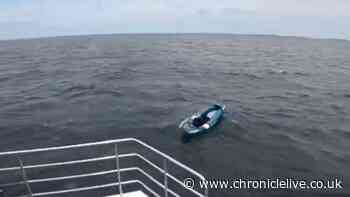 Dog rescued after inflatable kayak blown out to sea off Northumberland coast