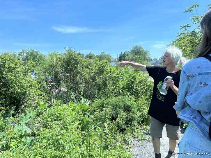 Local gardens take centre stage at Kingston’s Climate Summit tour