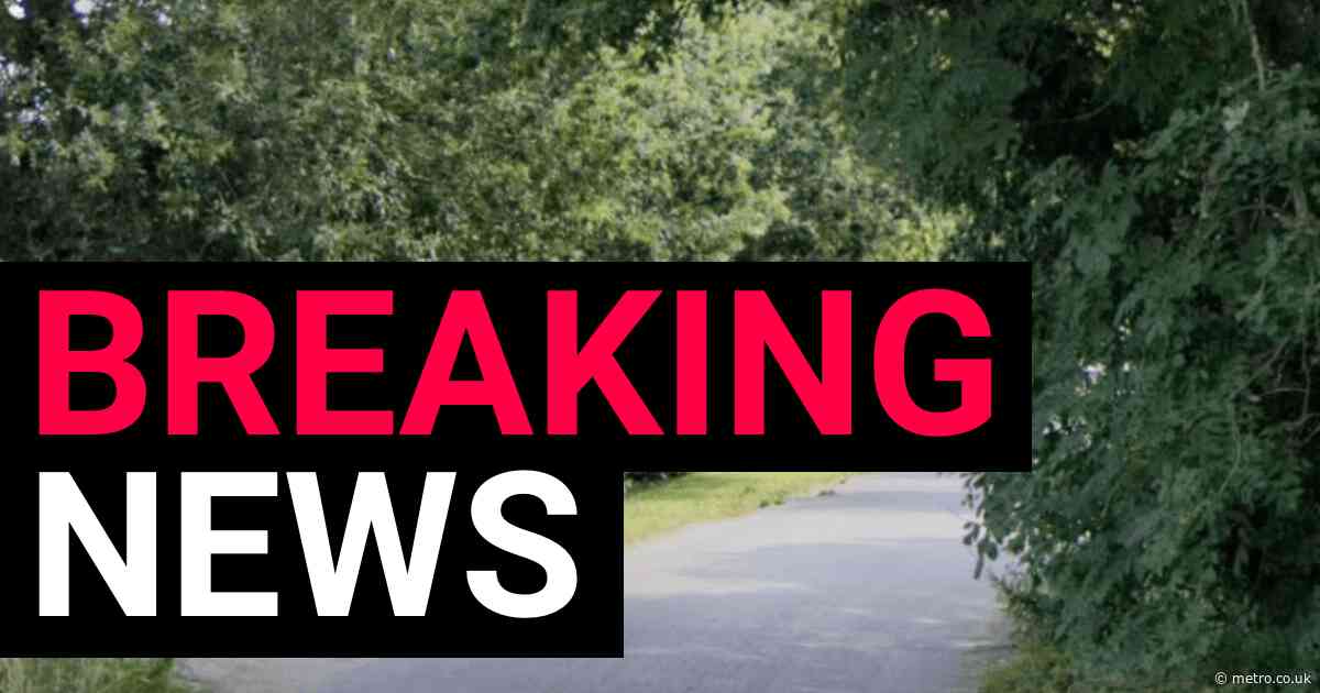 Boy, 12, dies in hospital after being struck by car in Essex village