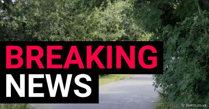 Boy, 12, dies in hospital after being struck by car in Essex village