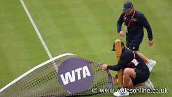 Queen's tennis tournament in chaos as BBC pulls broadcast minutes after start