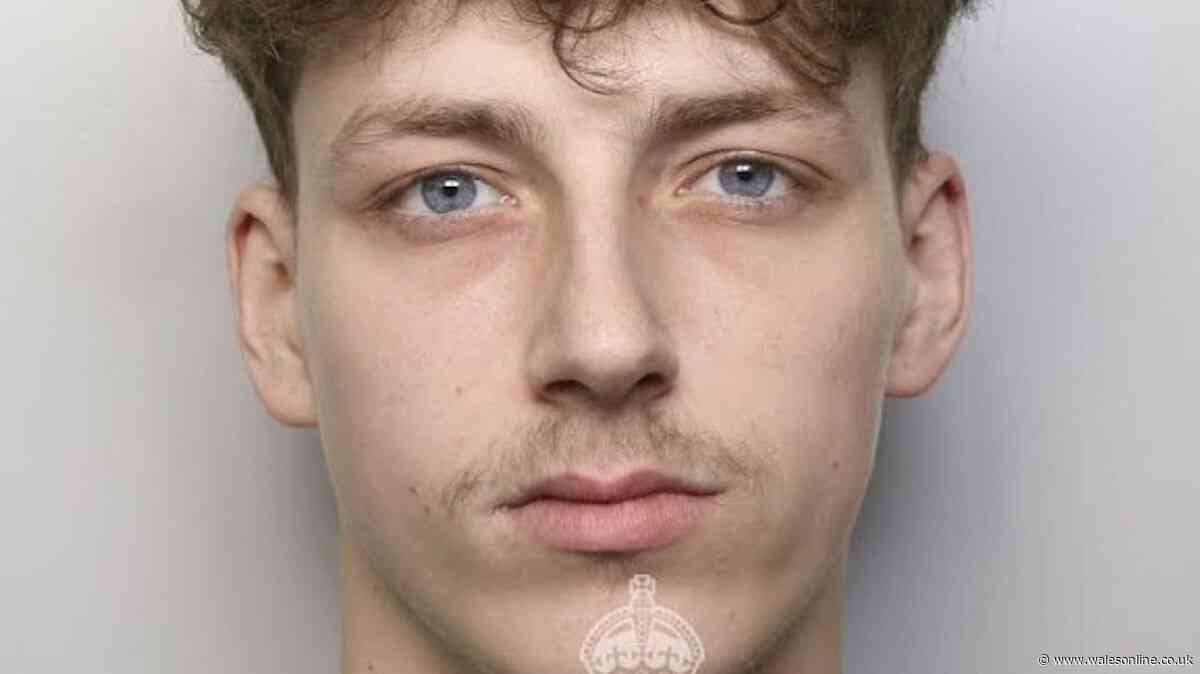 Man held pellet gun to partner's head and subjected her to campaign of abuse