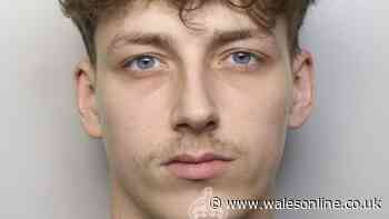 Man held pellet gun to partner's head and subjected her to campaign of abuse