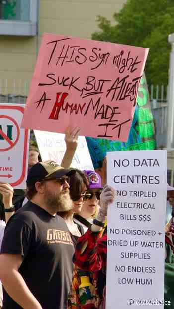 Watch: Hamilton rejects proposal related to data centre after protest