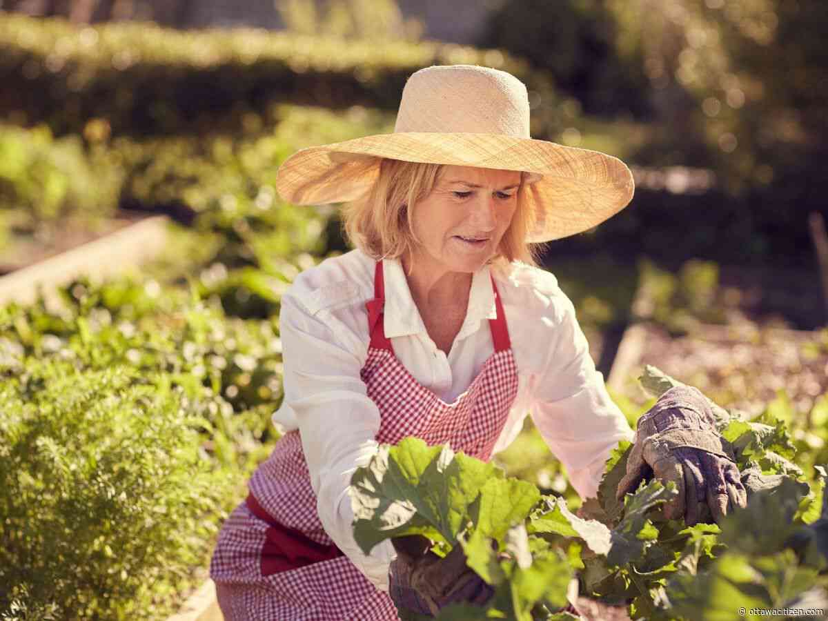 The city gardener: Let’s be careful out there! 