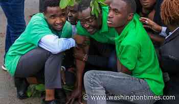 Kenya's former chief justice David Maraga arrested during park construction protest