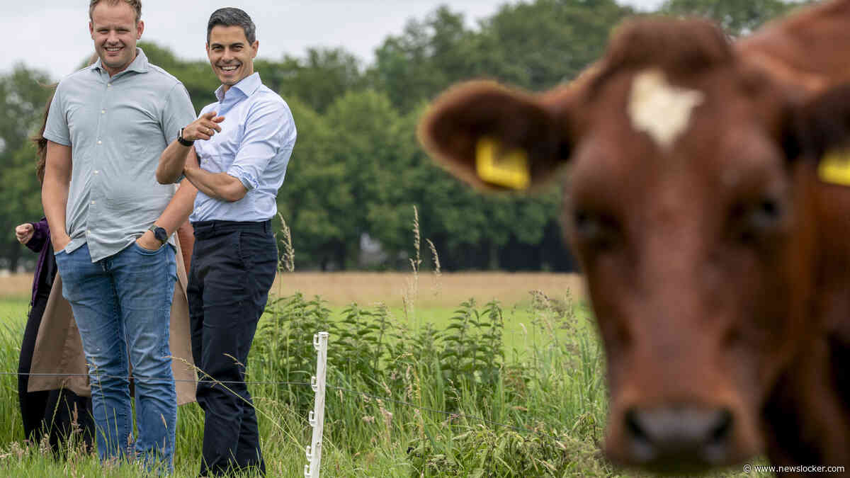 Jetten belooft boeren ’toekomstperspectief’ en ’duidelijkheid’, maar pijnlijke ingrepen op erf komen eraan: ’Waar houdt het een keer op?’