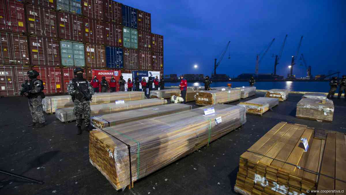 Incautan más de 100 toneladas de droga impregnada en madera destinada al extranjero