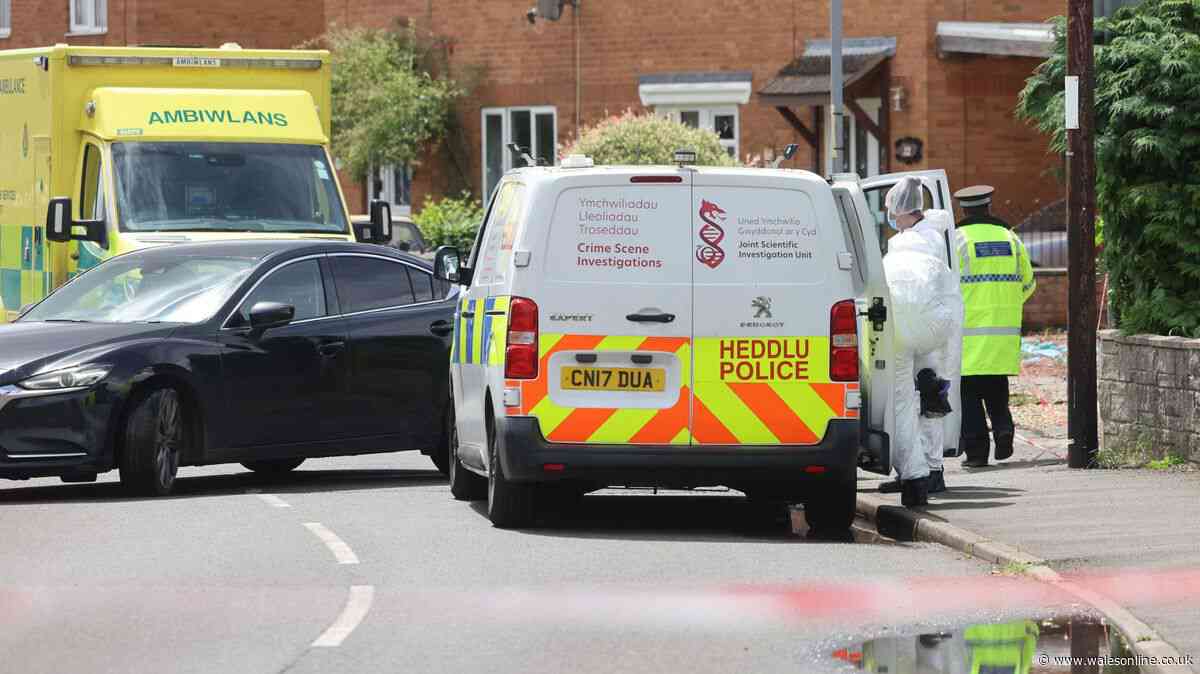 Police issue key update in Caldicot murder probe