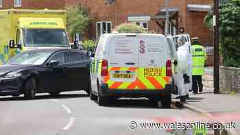 Police issue key update in Caldicot murder probe