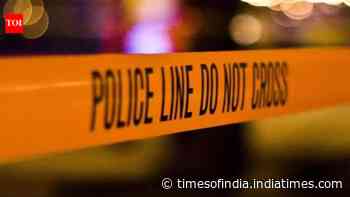 Several Indian workers killed in Dubai after minibus hits truck