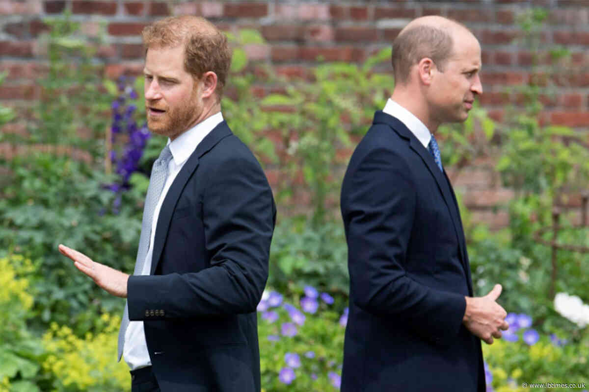 Why Prince William Has Allegedly Decided to Erase Prince Harry From the Monarchy For Good