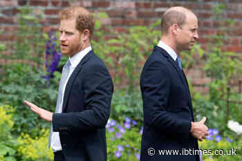 Why Prince William Has Allegedly Decided to Erase Prince Harry From the Monarchy For Good