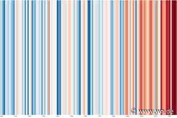 So trotzen Münsterländer dem Klimawandel