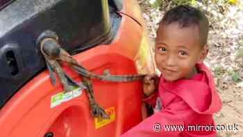 Tragedy as boy, 7, mauled to death by his pet monkey in Thailand