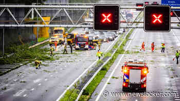 A15 bij Papendrecht dicht in beide richtingen door takkenregen en stormschade