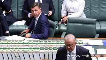 Taylor blames Albanese’s budget for plummeting Coalition vote as One Nation surges