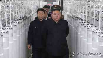 North Korea will never surrender nuclear status, Kim Jong Un's sister says