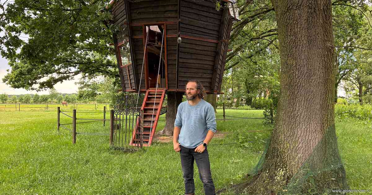 Kijk rond in 360°: Andy bouwde zijn jongensdroom, nu is die boomhut alle weekenden volgeboekt