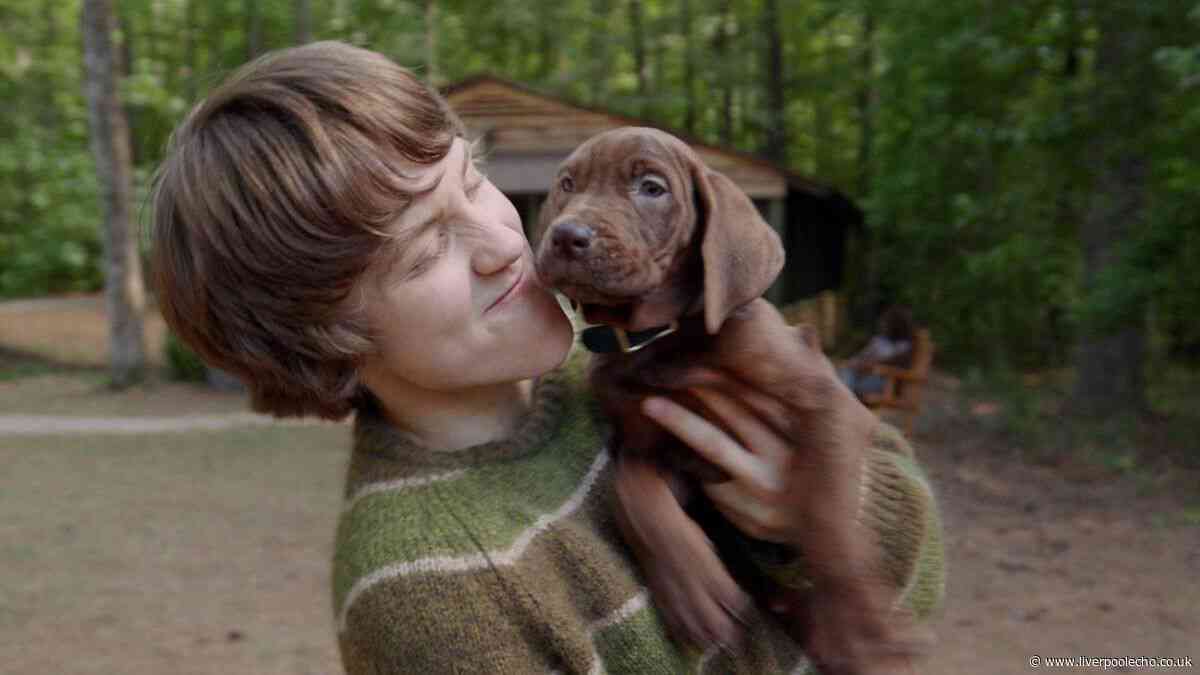 Scooby Doo live action labelled 'trash' as Netflix fans question puppy's casting