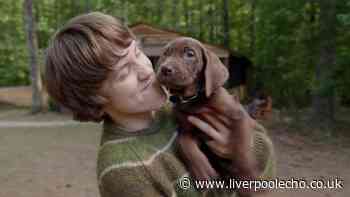 Scooby Doo live action labelled 'trash' as Netflix fans question puppy's casting