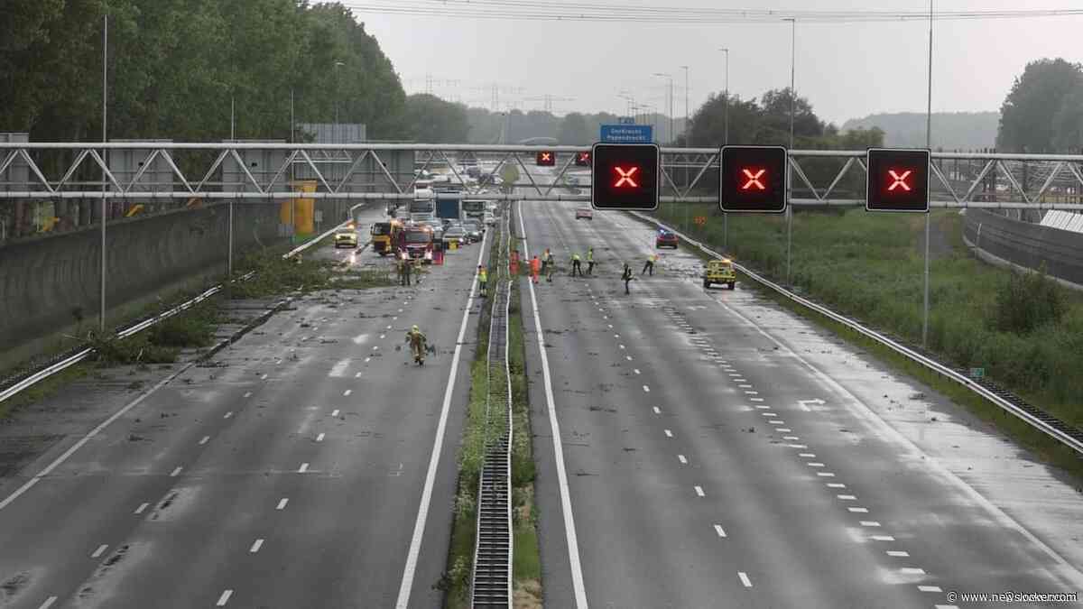 A15 dicht vanwege takken die op snelweg zijn gewaaid, code geel in 3 provincies