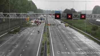 A15 dicht vanwege takken die op snelweg zijn gewaaid, code geel in 3 provincies