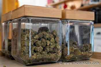 « Ce n’est pas du cannabis, mais du CBD ! » : à Toulon, le tribunal renvoie une affaire pour ordonner des analyses scientifiques