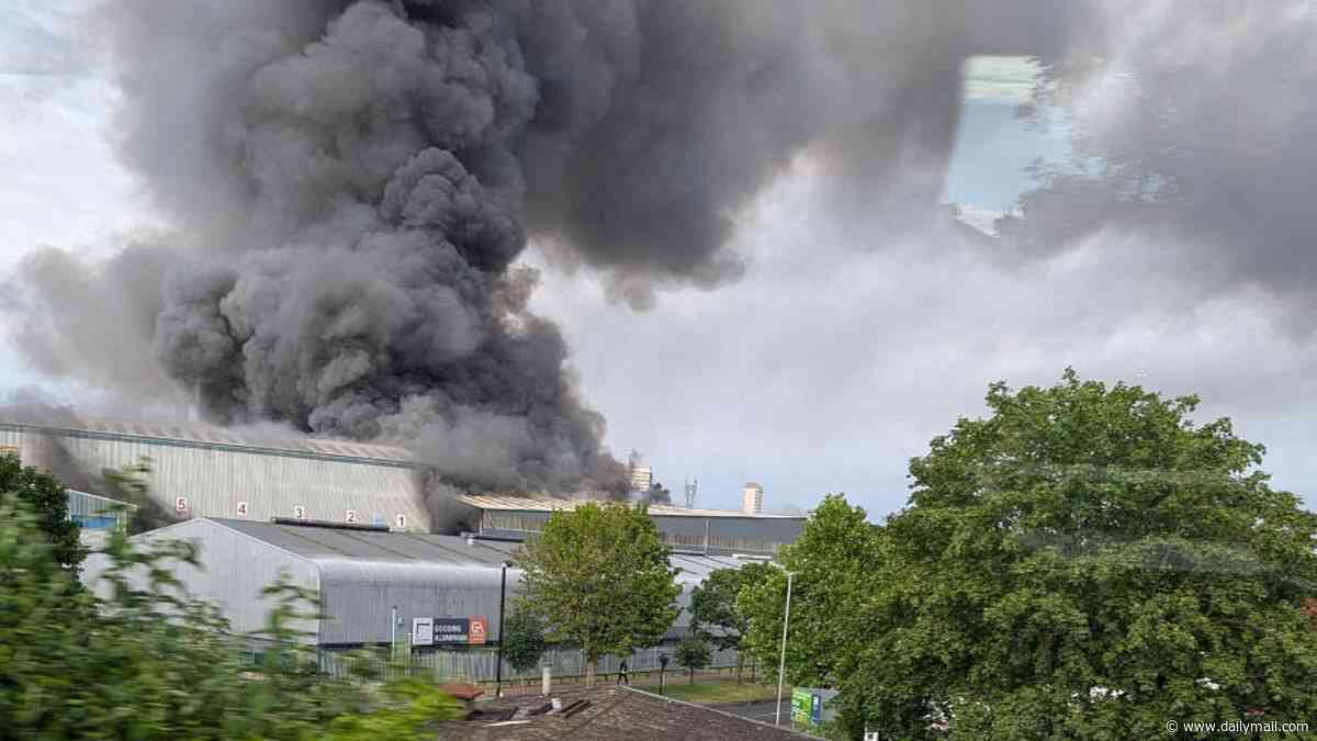 Around 100 firefighters battle huge blaze as thick plumes of smoke billow across London skyline
