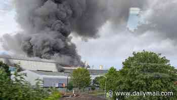 Around 100 firefighters battle huge blaze as thick plumes of smoke billow across London skyline