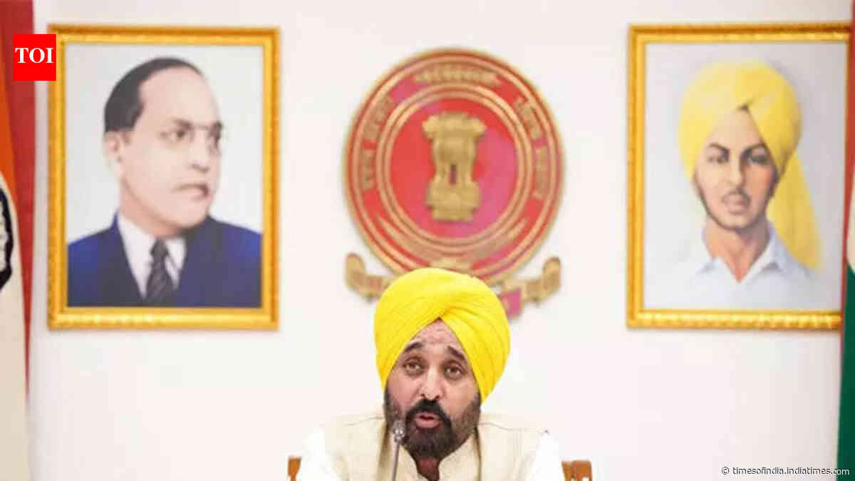 No paper leak in Punjab since 2022, students got opportunities based on merit: Mann
