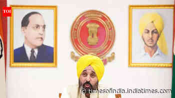 No paper leak in Punjab since 2022, students got opportunities based on merit: Mann